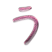 003