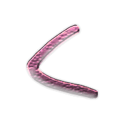 008