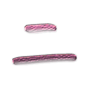 102