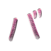151