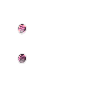 244