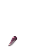245