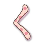 008