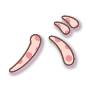 151
