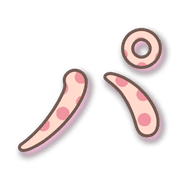 156