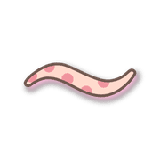 224