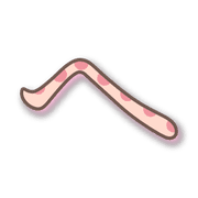 029