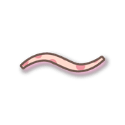 224