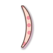 235