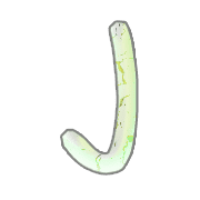 010