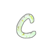 029
