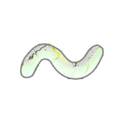 063