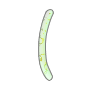 073