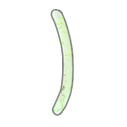 074