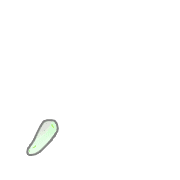 084
