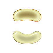 010