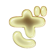 061