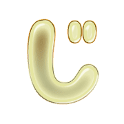 062