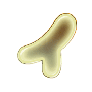 082