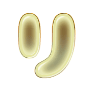 120