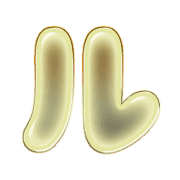 121