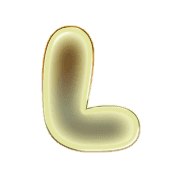 173