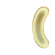 234