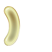 235