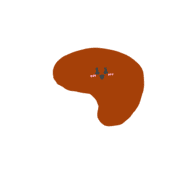 036