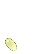 256