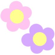 029