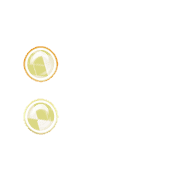 244
