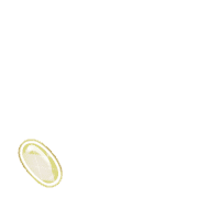 256