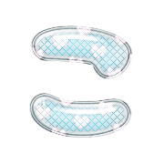 010