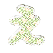 004