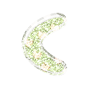 008