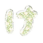 009