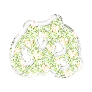 023
