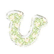 027