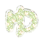037