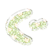 058