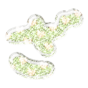 061