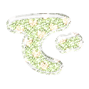 069