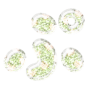 078
