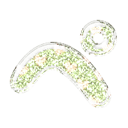 079