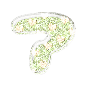 081