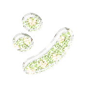 092