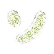 095