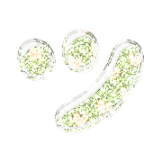 098
