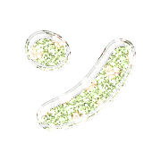 126